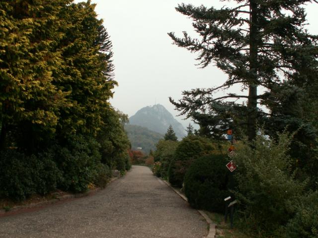 Parco botanico San Grato