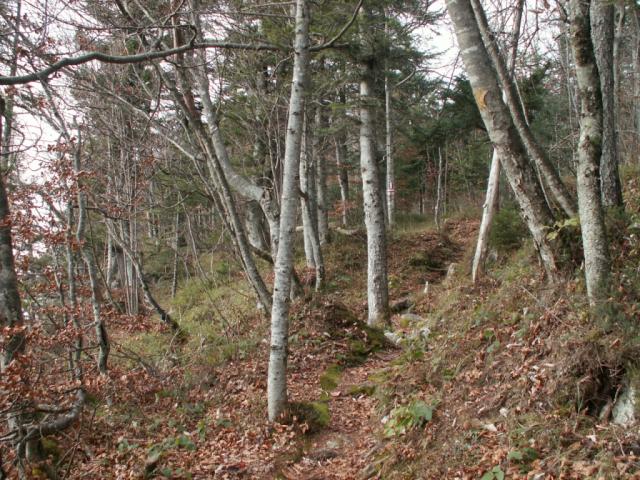 bei vorder Oberberg