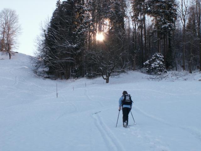 es geht aufwärts