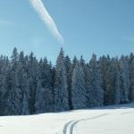 hier oben sind die Tannen noch voller Schnee