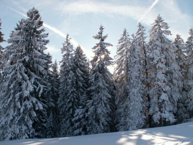 Winterlandschaft