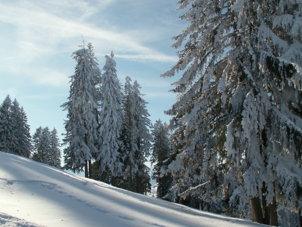 eine Märchenlandschaft