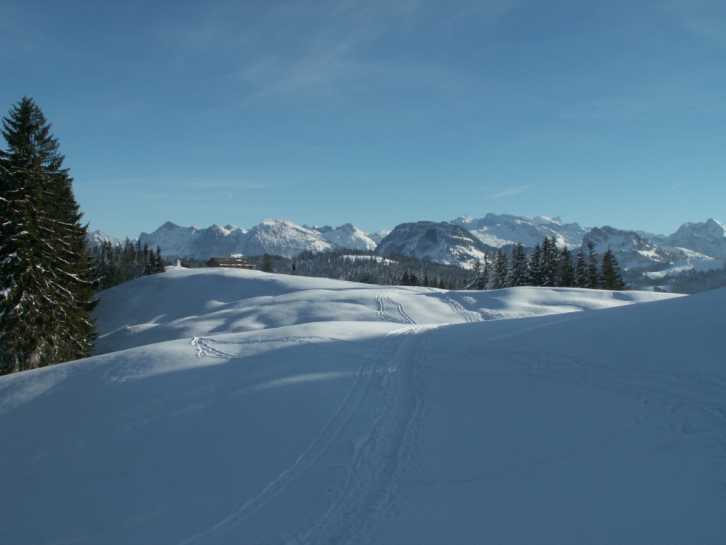 Blick Richtung Gueteregg