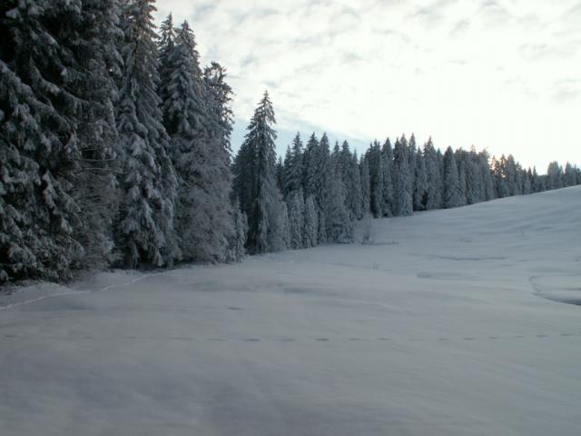 Blick zurück