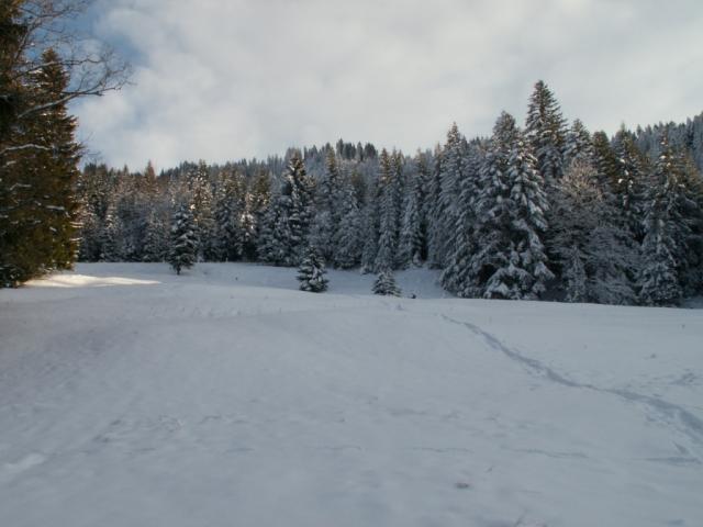 Blick zurück