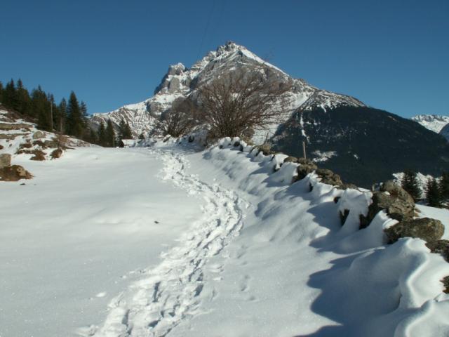 eine sehr schöne Schneeschuhtour