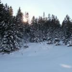 nun geht es wieder durch den Wald