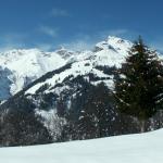 Breitbildfoto Glarner Berge mit Kärpf