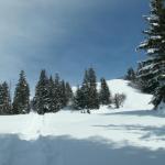 Schneeschuhtour Weissenberge 25.3.2007