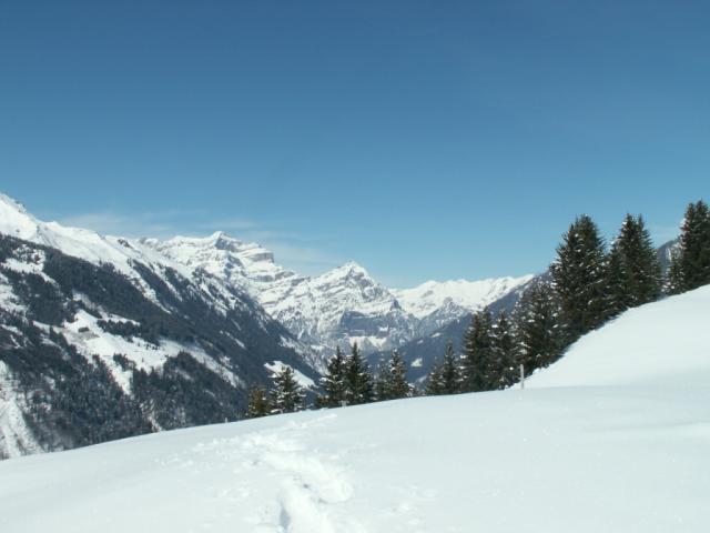 Blick Richtung Glärnisch