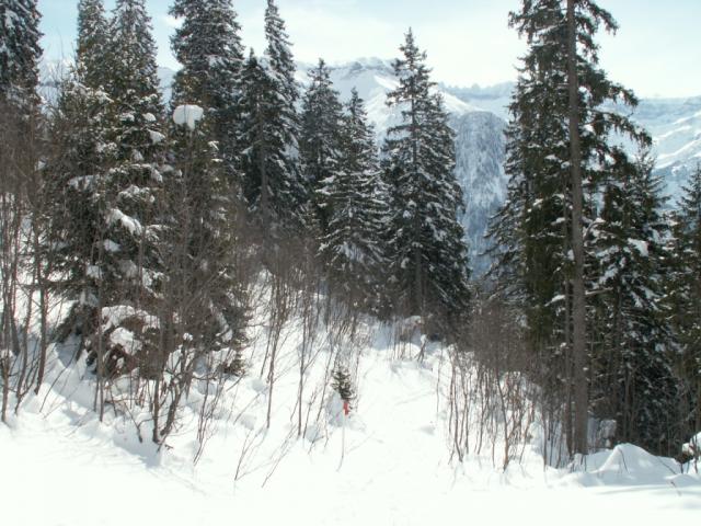 Blick zurück