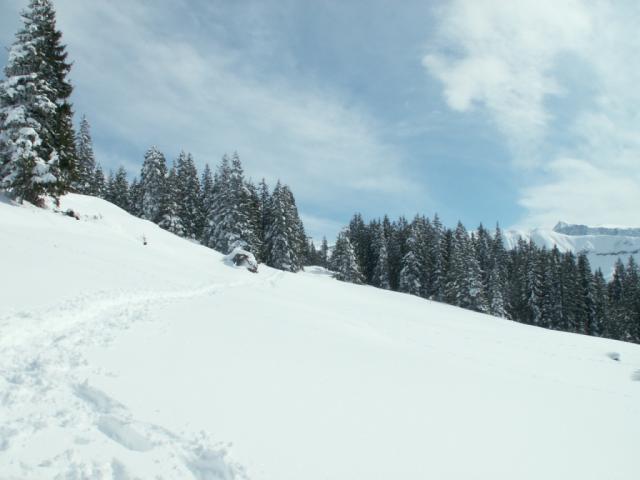 weiter Richtung Skihaus Stäfeli