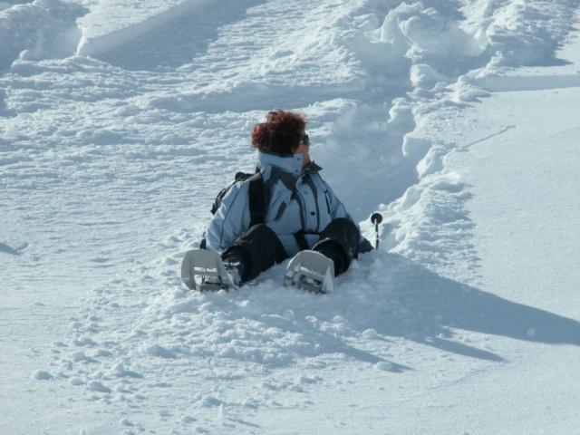 Martha versinkt fast im Schnee