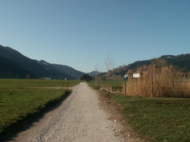 Trachslauer Weiher