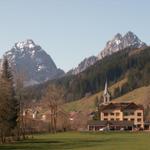 Alpthal im Hintergrund die beiden Mythen