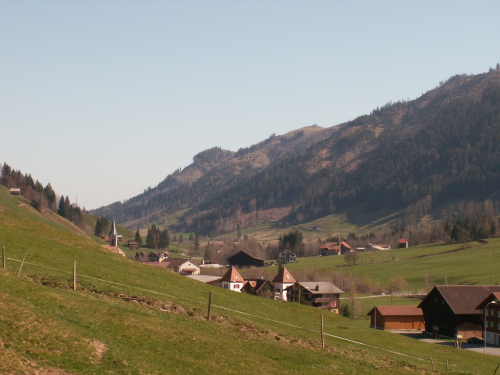 Alpthal von oben