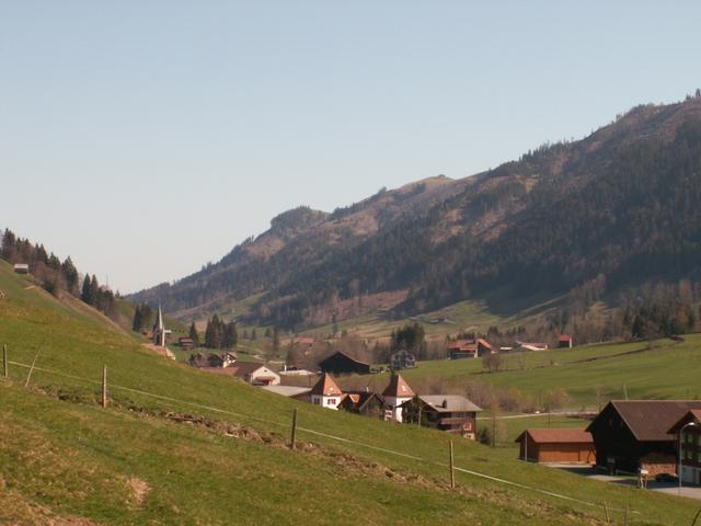 Alpthal von oben