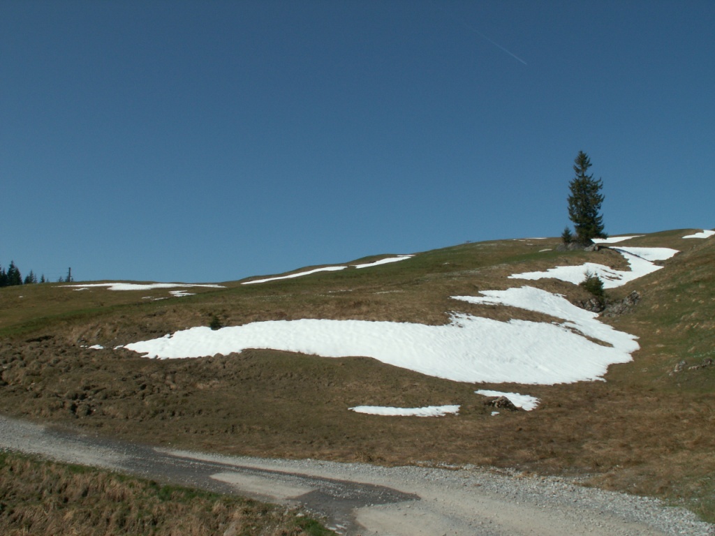 es liegt noch Schnee auf Hagenegg