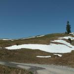 es liegt noch Schnee auf Hagenegg