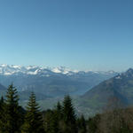 Breitbildfoto mit Vierwaldstättersee und Alpen