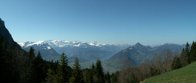 Breitbildfoto mit Vierwaldstättersee und Alpen