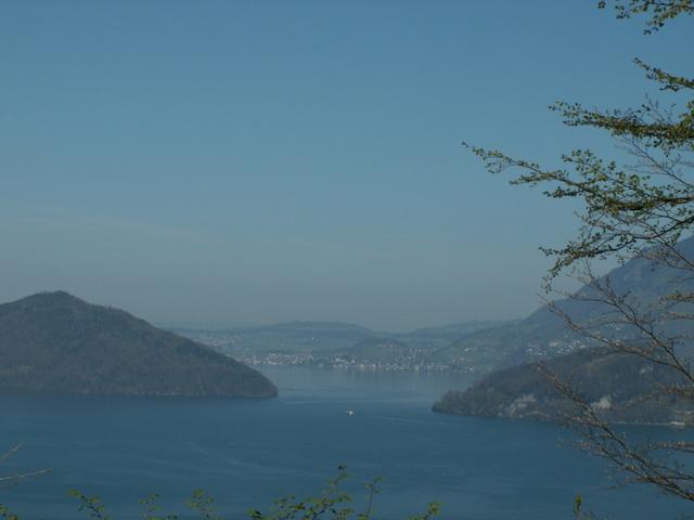 Blick auf den Vierwaldstättersee