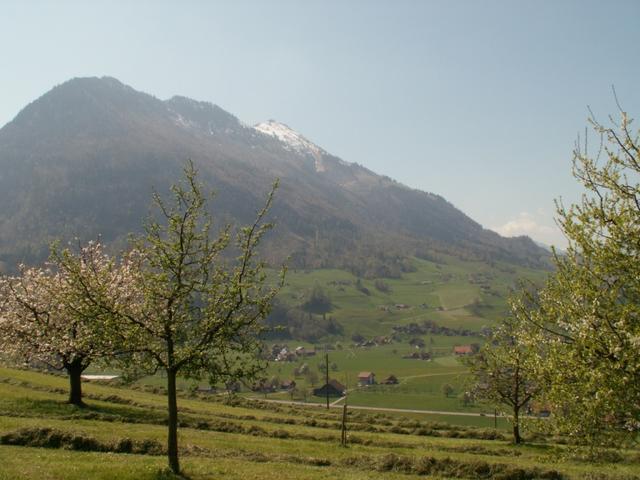 Blick Richtung Stans mit Stanserhorn