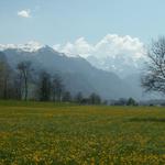 Engelbergertal mit Walenstöcke