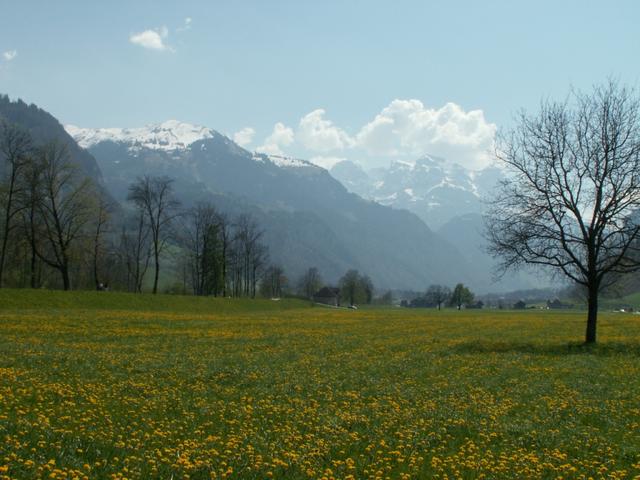 Engelbergertal mit Walenstöcke