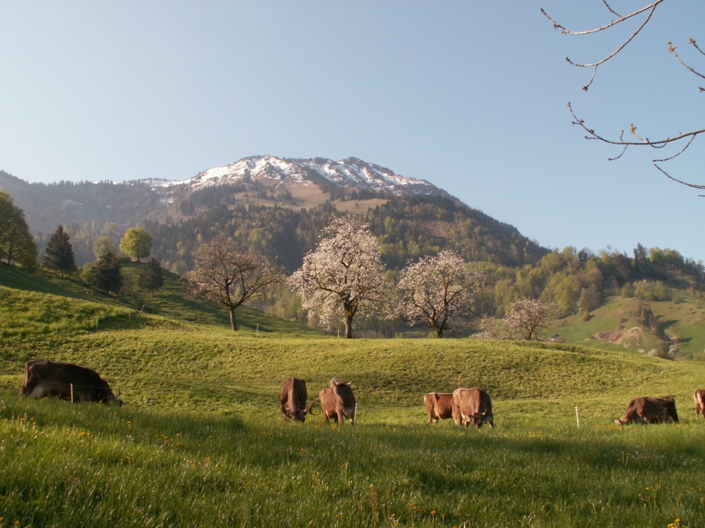 Stanserhorn