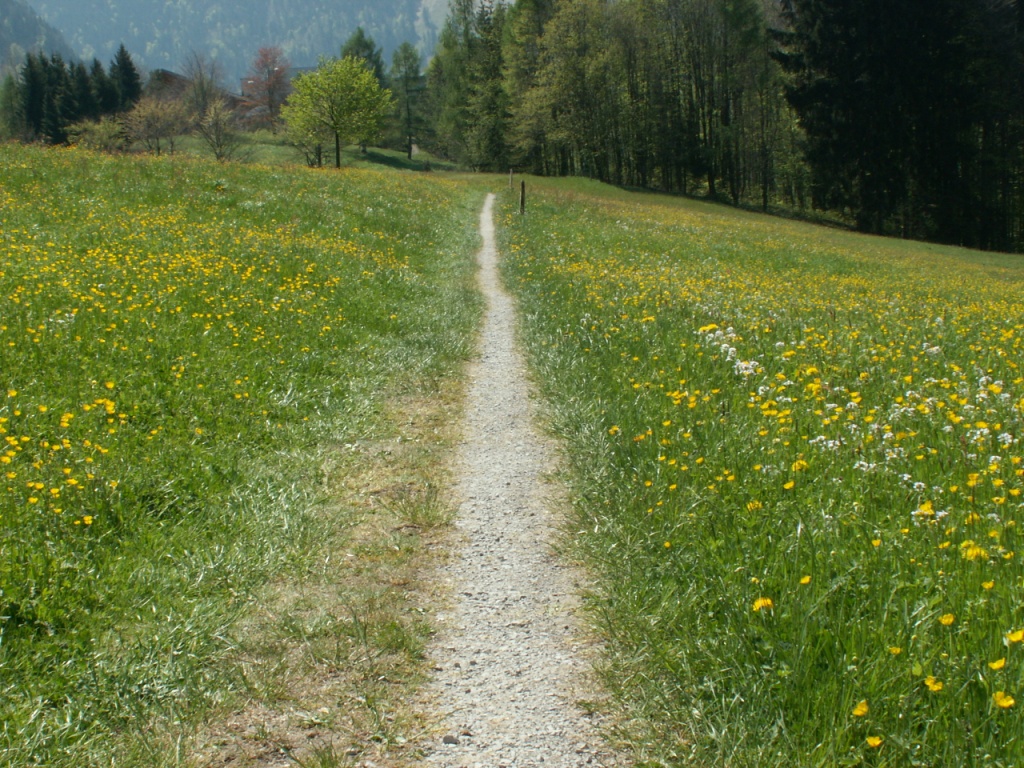 Richtung St.Niklausen