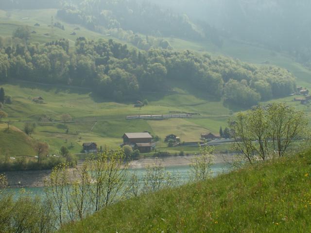 Lungernsee mit Zentralbahn