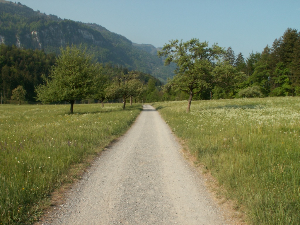 Richtung Brienz-Lauene