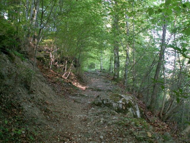 aufwärts Richtung Giessbach