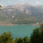 Brienzersee mit Brienz und Kienholz