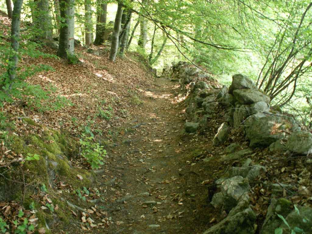 es geht runter nach Bönigen