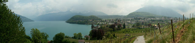 Breitbildfoto von Spiez