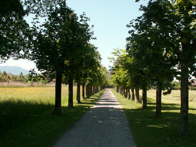 der Weg ist das Ziel