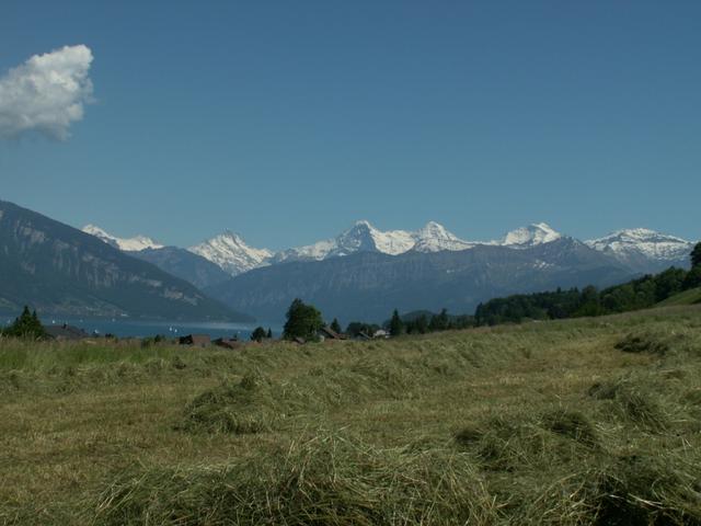 Schreckhorn, Finsteraarhorn, Eiger, Mönch, Jungfrau und Schilthorn