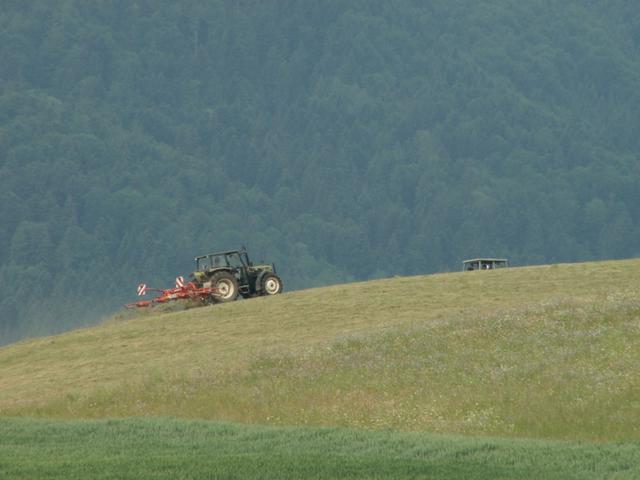 die Bauern haben zurzeit viel zu tun