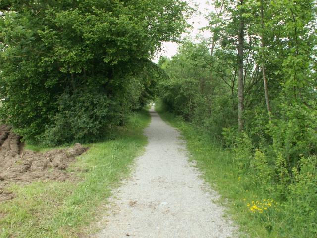 der Gürbe entlang nach Wattenwil