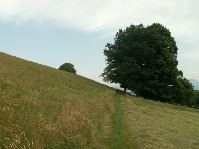 weiter Richtung Burgistein