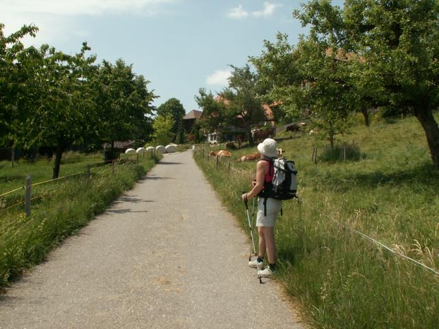 auf dem Weg Richtung Rüeggisberg