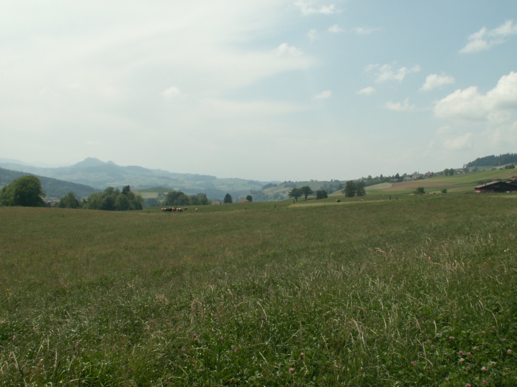 Blick Richtung Rüeggisberg