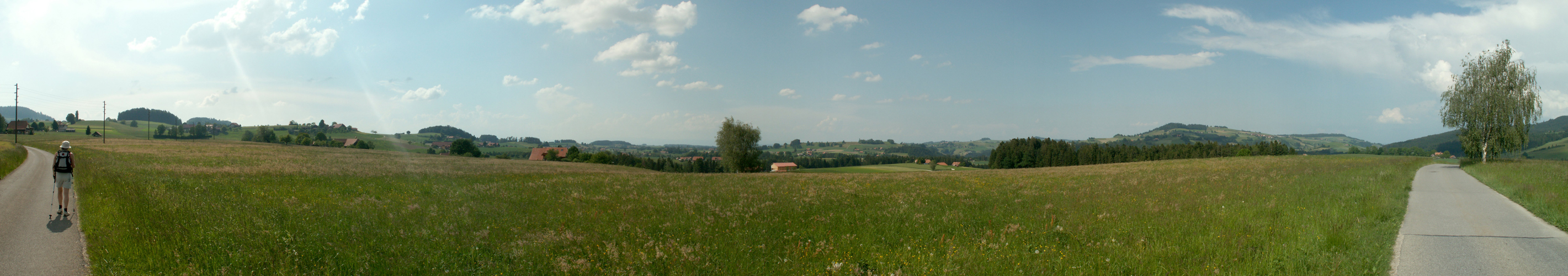 Breitbildfoto bei Schönetanne