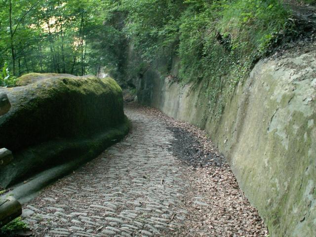 alter Historischer Weg hinunter zum Torenbach