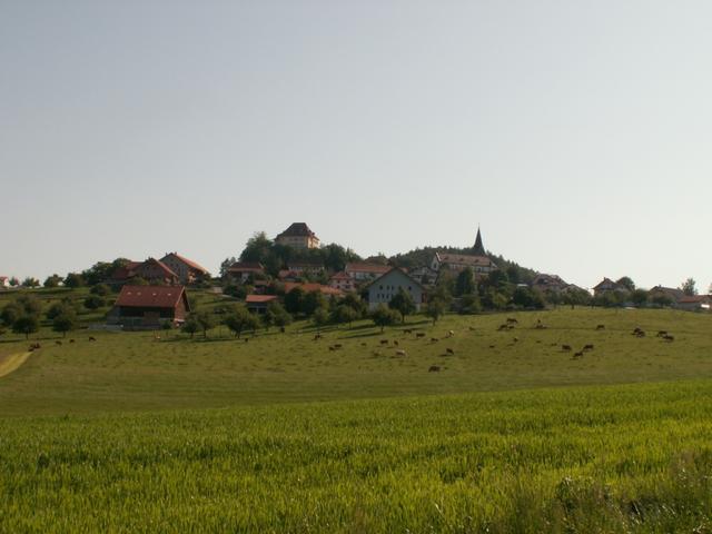 Blick zurück nach Heitenried