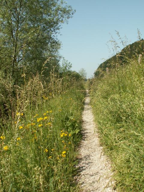 Weg entlang des Flusses Taverna