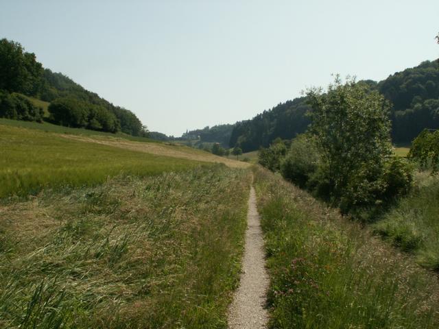 Blick zurück