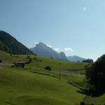 Blick Richtung Wildhuser Schafberg